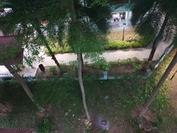 Blk 92 Commonwealth Drive (Queenstown), HDB 3 Rooms #209703741